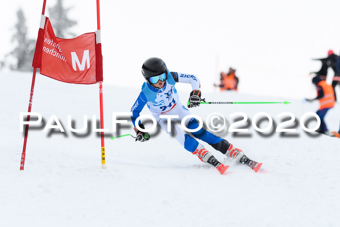 Sechzger Pokal der Skilöwen; U12 Rennserie VRS 11.01.2020