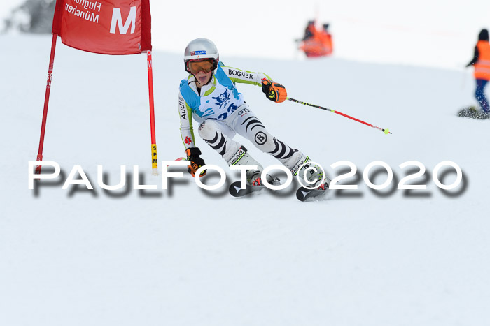 Sechzger Pokal der Skilöwen; U12 Rennserie VRS 11.01.2020