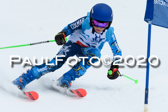 Sechzger Pokal der Skilöwen; U12 Rennserie VRS 11.01.2020