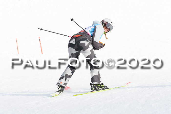 Sechzger Pokal der Skilöwen; U12 Rennserie VRS 11.01.2020