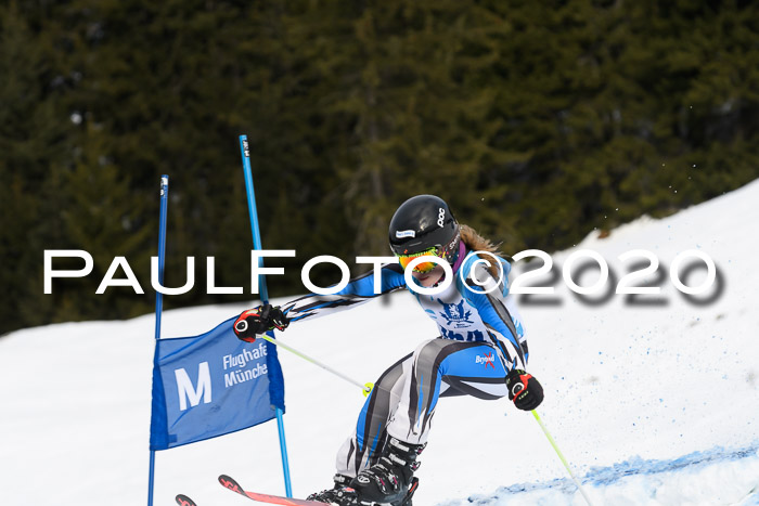 Sechzger Pokal der Skilöwen; U12 Rennserie VRS 11.01.2020