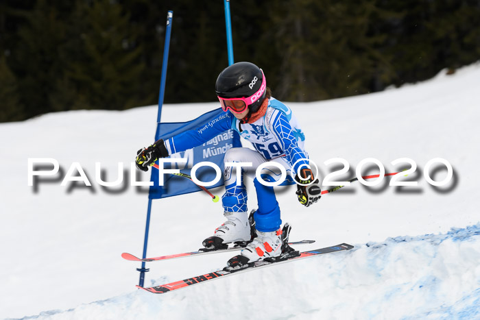 Sechzger Pokal der Skilöwen; U12 Rennserie VRS 11.01.2020