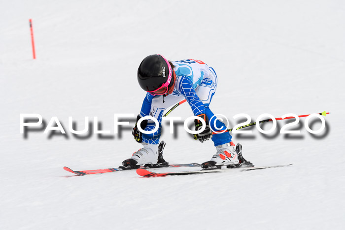 Sechzger Pokal der Skilöwen; U12 Rennserie VRS 11.01.2020