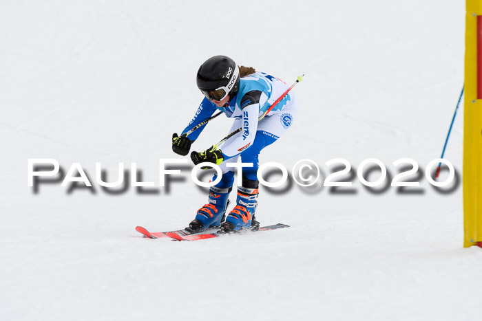 Sechzger Pokal der Skilöwen; U12 Rennserie VRS 11.01.2020