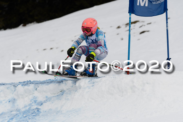 Sechzger Pokal der Skilöwen; U12 Rennserie VRS 11.01.2020