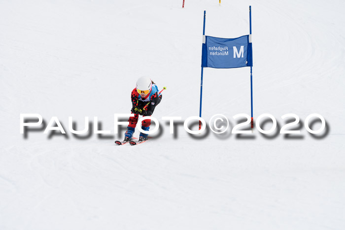 Sechzger Pokal der Skilöwen; U12 Rennserie VRS 11.01.2020