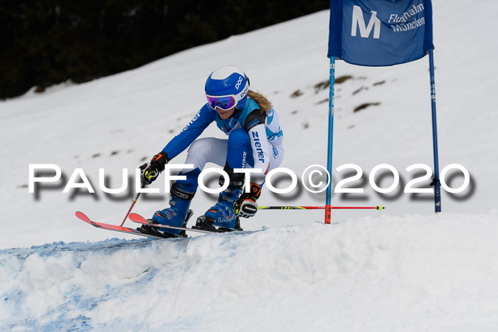 Sechzger Pokal der Skilöwen; U12 Rennserie VRS 11.01.2020