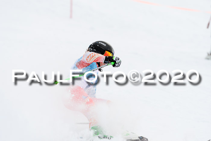 Sechzger Pokal der Skilöwen; U12 Rennserie VRS 11.01.2020