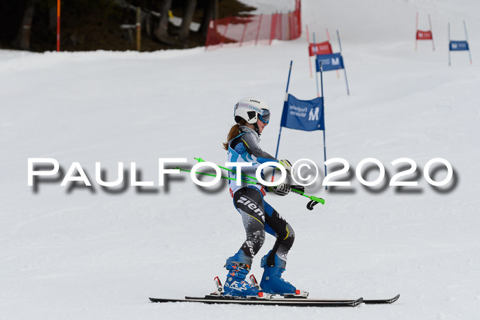 Sechzger Pokal der Skilöwen; U12 Rennserie VRS 11.01.2020