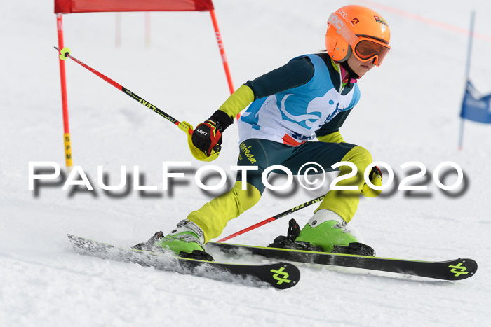 Sechzger Pokal der Skilöwen; U8/U10 Rennserie VRS 11.01.2020