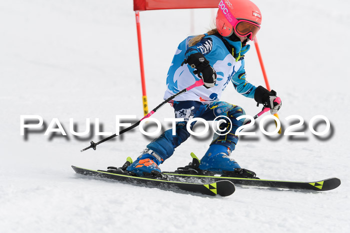 Sechzger Pokal der Skilöwen; U8/U10 Rennserie VRS 11.01.2020