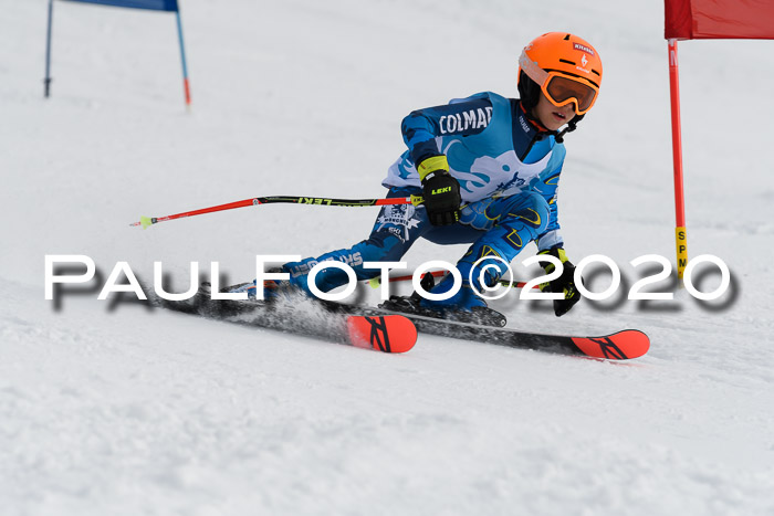 Sechzger Pokal der Skilöwen; U8/U10 Rennserie VRS 11.01.2020