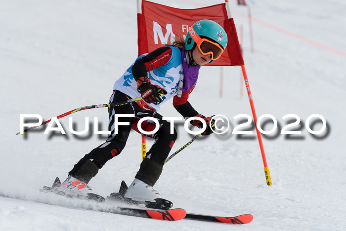 Sechzger Pokal der Skilöwen; U8/U10 Rennserie VRS 11.01.2020