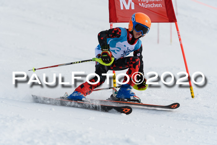 Sechzger Pokal der Skilöwen; U8/U10 Rennserie VRS 11.01.2020