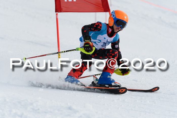 Sechzger Pokal der Skilöwen; U8/U10 Rennserie VRS 11.01.2020