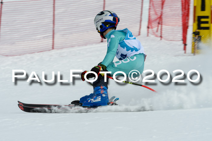 Sechzger Pokal der Skilöwen; U8/U10 Rennserie VRS 11.01.2020