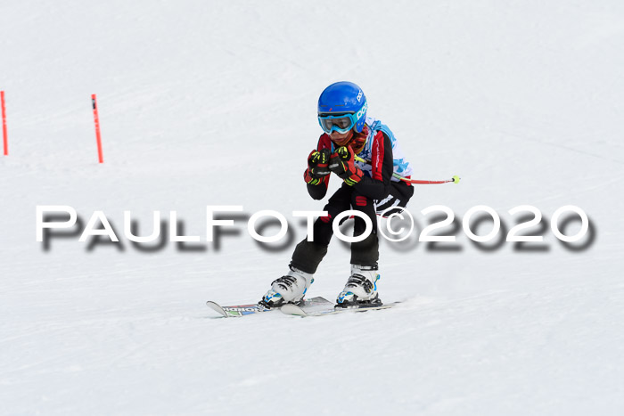 Sechzger Pokal der Skilöwen; U8/U10 Rennserie VRS 11.01.2020