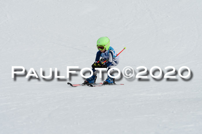 Sechzger Pokal der Skilöwen; U8/U10 Rennserie VRS 11.01.2020