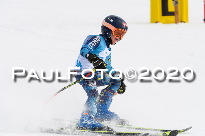 Sechzger Pokal der Skilöwen; U8/U10 Rennserie VRS 11.01.2020