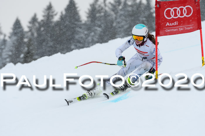 DSV Schülercup U14 VI PSL 19.01.2020