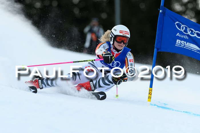 FIS Riesenslalom, ATA; Bay. Meisterschaft, Damen + Herren, 24.01.2020