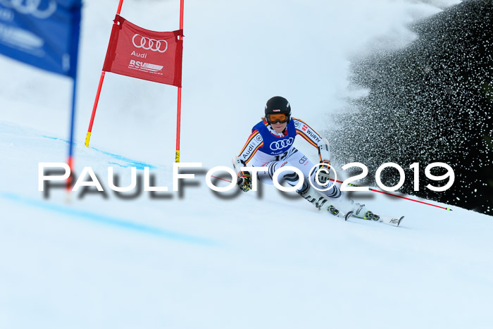 FIS Riesenslalom, ATA; Bay. Meisterschaft, Damen + Herren, 24.01.2020