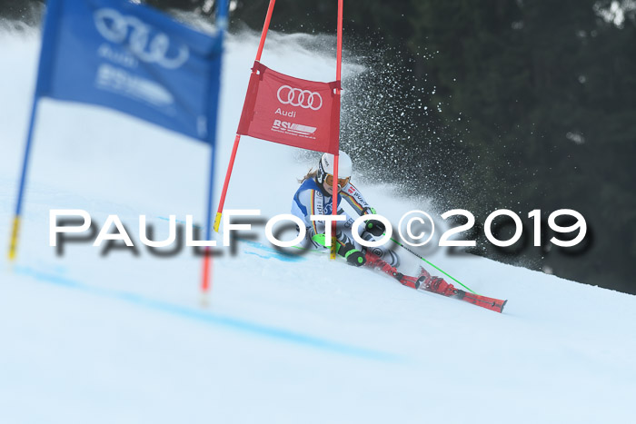 FIS Riesenslalom, ATA; Bay. Meisterschaft, Damen + Herren, 24.01.2020