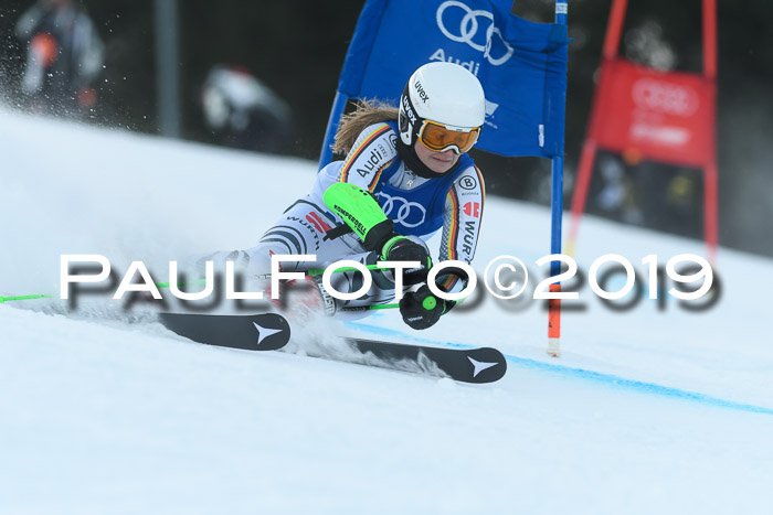 FIS Riesenslalom, ATA; Bay. Meisterschaft, Damen + Herren, 24.01.2020