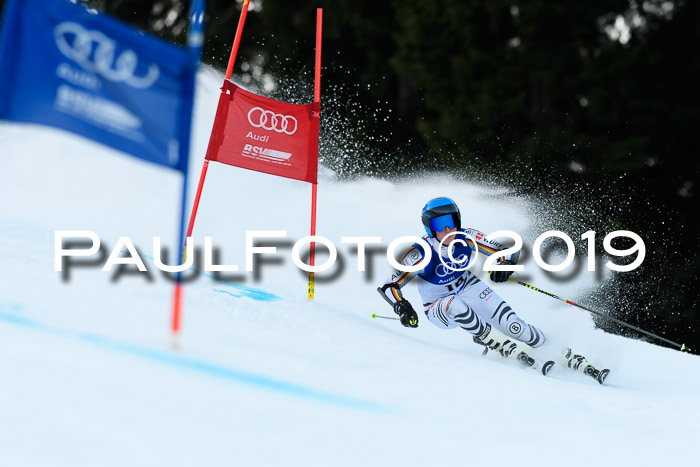 FIS Riesenslalom, ATA; Bay. Meisterschaft, Damen + Herren, 24.01.2020