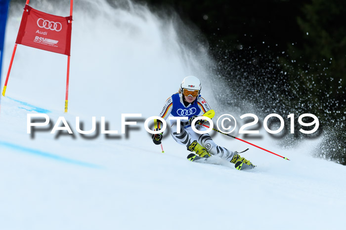 FIS Riesenslalom, ATA; Bay. Meisterschaft, Damen + Herren, 24.01.2020