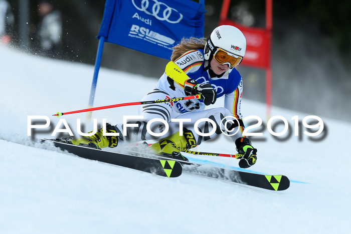 FIS Riesenslalom, ATA; Bay. Meisterschaft, Damen + Herren, 24.01.2020