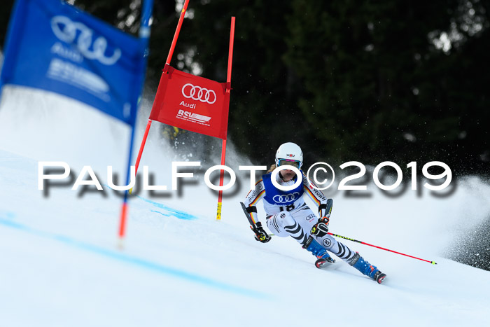 FIS Riesenslalom, ATA; Bay. Meisterschaft, Damen + Herren, 24.01.2020