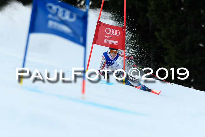 FIS Riesenslalom, ATA; Bay. Meisterschaft, Damen + Herren, 24.01.2020