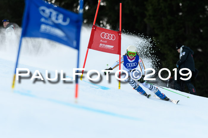 FIS Riesenslalom, ATA; Bay. Meisterschaft, Damen + Herren, 24.01.2020