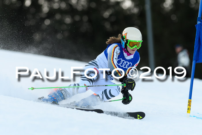 FIS Riesenslalom, ATA; Bay. Meisterschaft, Damen + Herren, 24.01.2020