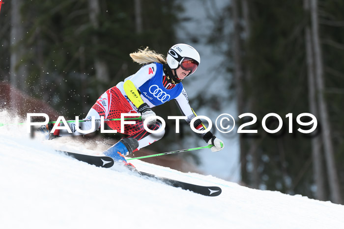 FIS Riesenslalom, ATA; Bay. Meisterschaft, Damen + Herren, 24.01.2020