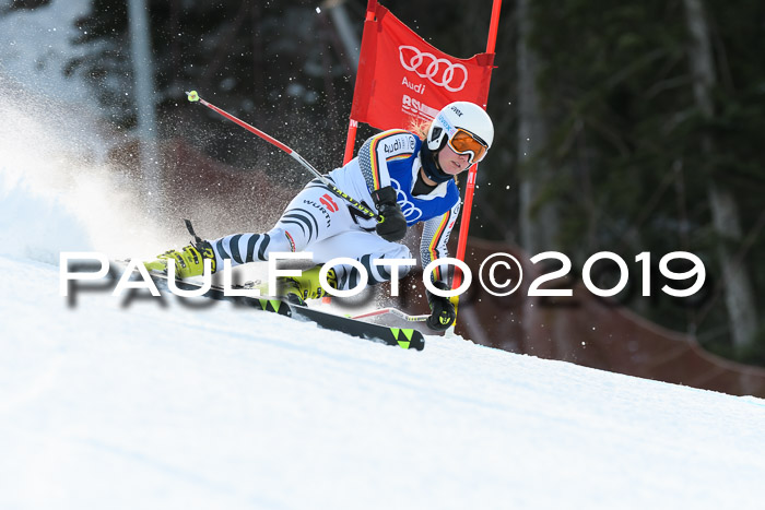 FIS Riesenslalom, ATA; Bay. Meisterschaft, Damen + Herren, 24.01.2020