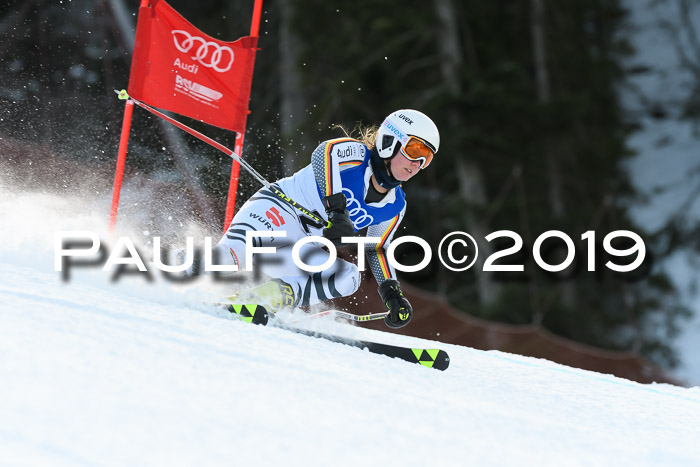 FIS Riesenslalom, ATA; Bay. Meisterschaft, Damen + Herren, 24.01.2020