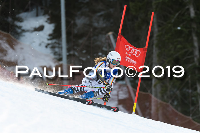 FIS Riesenslalom, ATA; Bay. Meisterschaft, Damen + Herren, 24.01.2020