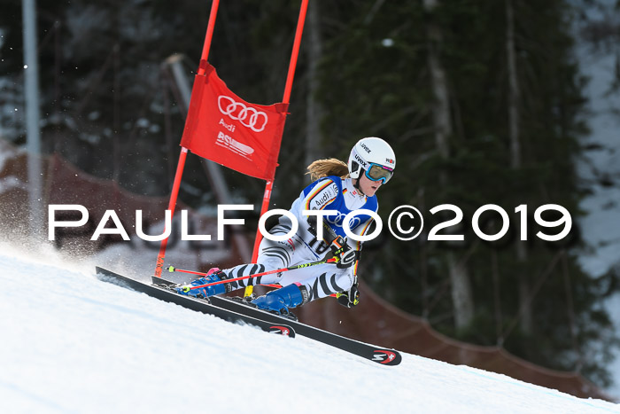 FIS Riesenslalom, ATA; Bay. Meisterschaft, Damen + Herren, 24.01.2020