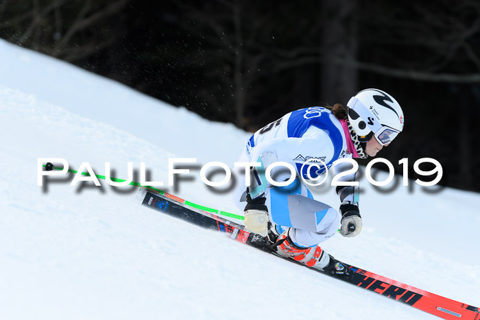 FIS Riesenslalom, ATA; Bay. Meisterschaft, Damen + Herren, 24.01.2020