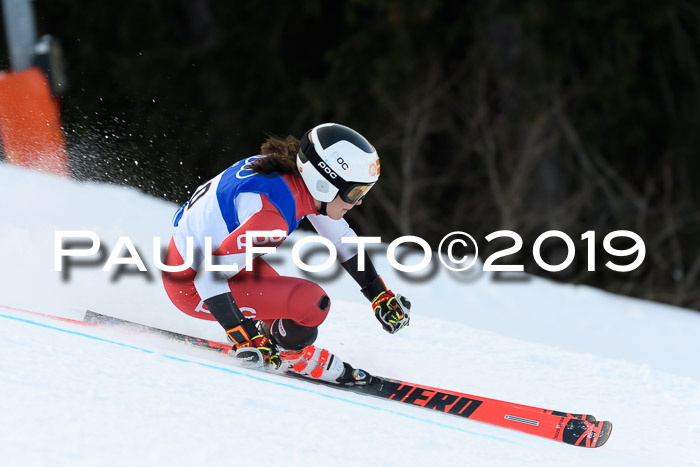 FIS Riesenslalom, ATA; Bay. Meisterschaft, Damen + Herren, 24.01.2020