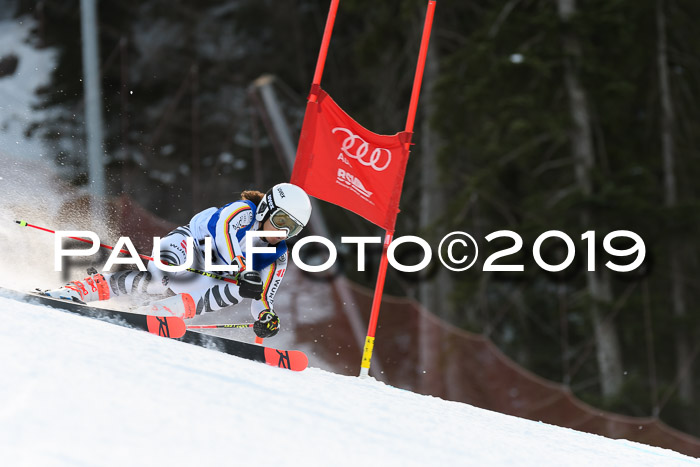 FIS Riesenslalom, ATA; Bay. Meisterschaft, Damen + Herren, 24.01.2020