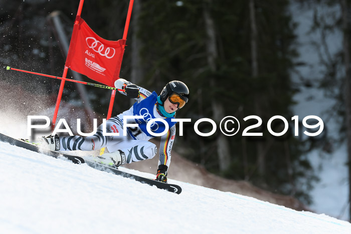 FIS Riesenslalom, ATA; Bay. Meisterschaft, Damen + Herren, 24.01.2020