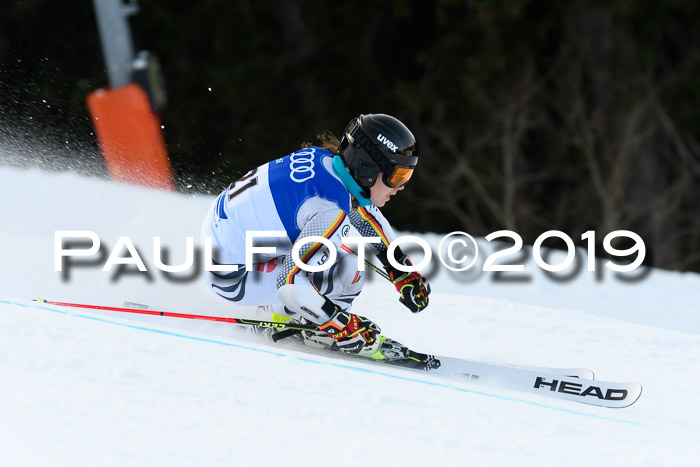 FIS Riesenslalom, ATA; Bay. Meisterschaft, Damen + Herren, 24.01.2020