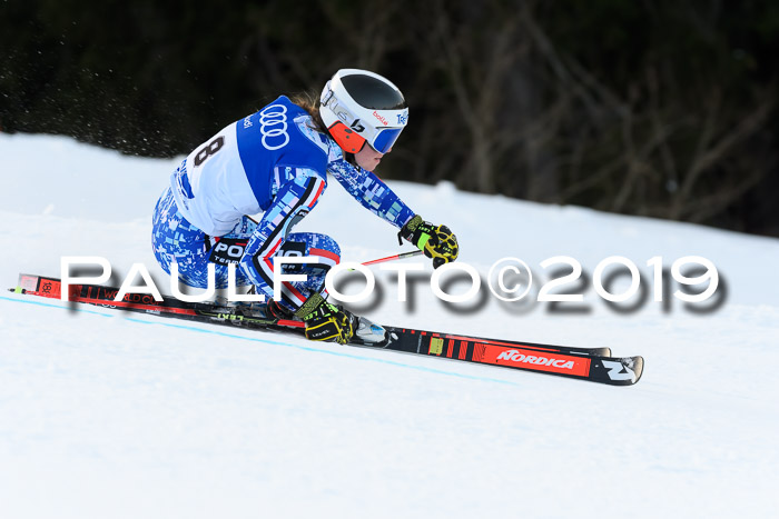 FIS Riesenslalom, ATA; Bay. Meisterschaft, Damen + Herren, 24.01.2020