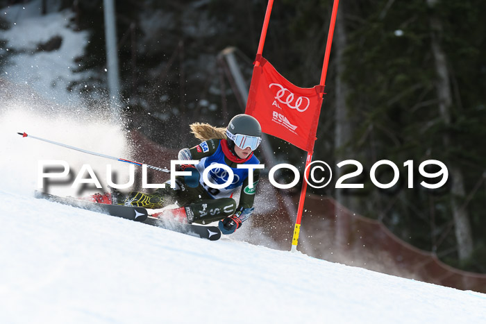 FIS Riesenslalom, ATA; Bay. Meisterschaft, Damen + Herren, 24.01.2020