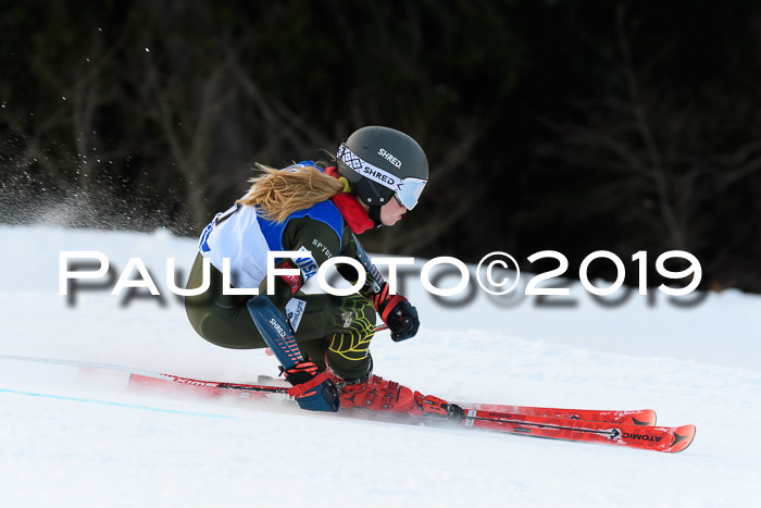 FIS Riesenslalom, ATA; Bay. Meisterschaft, Damen + Herren, 24.01.2020