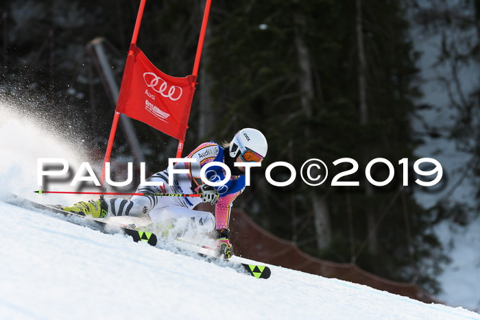 FIS Riesenslalom, ATA; Bay. Meisterschaft, Damen + Herren, 24.01.2020