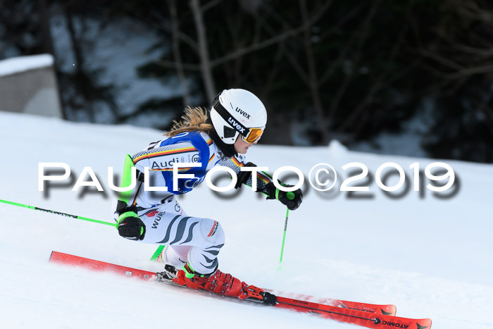 FIS Riesenslalom, ATA; Bay. Meisterschaft, Damen + Herren, 24.01.2020